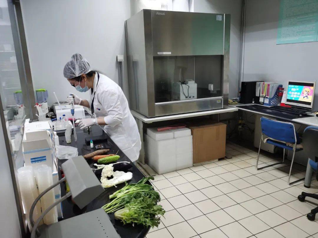 应县食品检测实验室装修方案